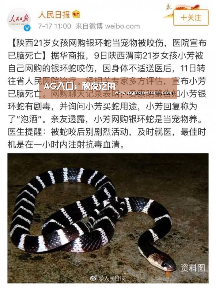 AG地址