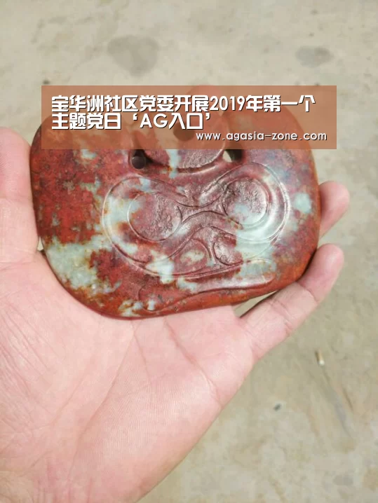 宝华洲社区党委开展2019年第一个主题党日‘AG入口’(图1) 宝华洲社区党委开展2019年第一个主题党日‘AG入口’(图1)