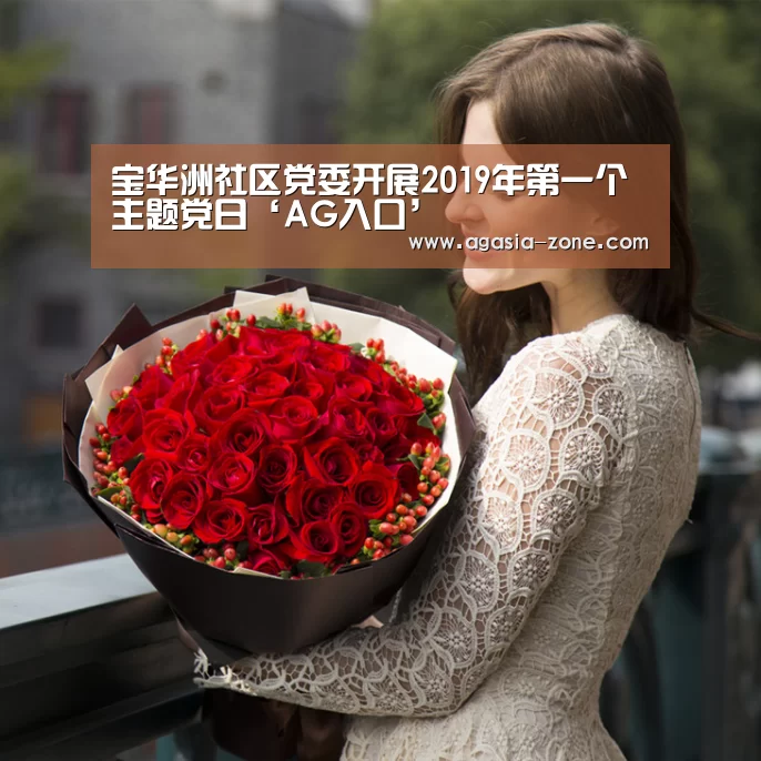 宝华洲社区党委开展2019年第一个主题党日‘AG入口’(图2) AG地址
