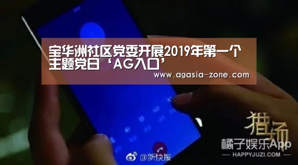 宝华洲社区党委开展2019年第一个主题党日‘AG入口’(图3) AG地址